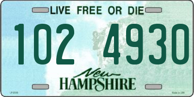 NH license plate 1024930