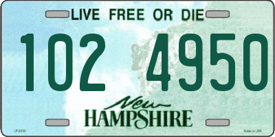 NH license plate 1024950