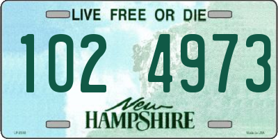 NH license plate 1024973