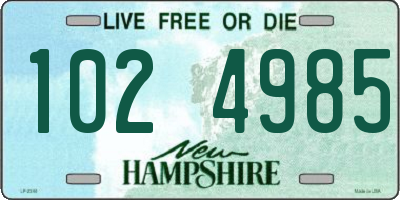 NH license plate 1024985