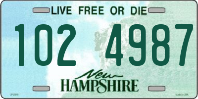 NH license plate 1024987