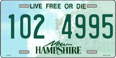 NH license plate 1024995
