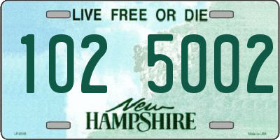 NH license plate 1025002