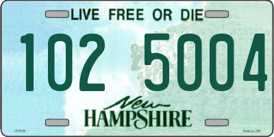 NH license plate 1025004