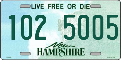 NH license plate 1025005
