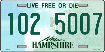 NH license plate 1025007