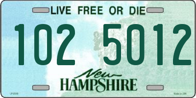 NH license plate 1025012