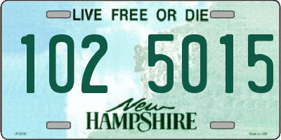 NH license plate 1025015