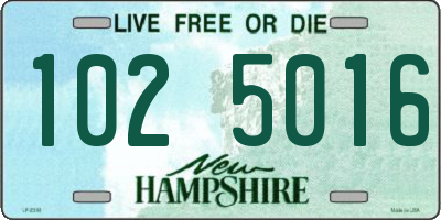 NH license plate 1025016
