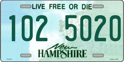 NH license plate 1025020