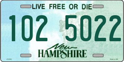 NH license plate 1025022