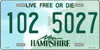NH license plate 1025027