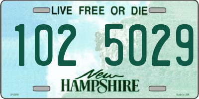 NH license plate 1025029