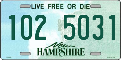 NH license plate 1025031