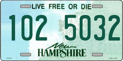 NH license plate 1025032