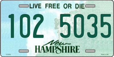 NH license plate 1025035