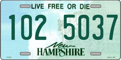 NH license plate 1025037