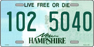 NH license plate 1025040