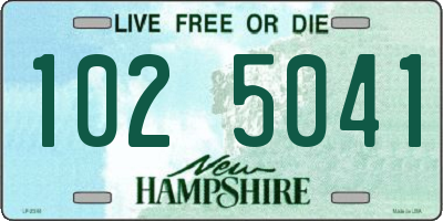 NH license plate 1025041
