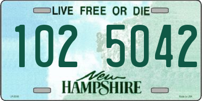 NH license plate 1025042