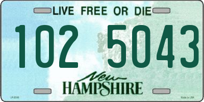 NH license plate 1025043