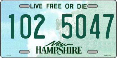 NH license plate 1025047