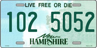 NH license plate 1025052
