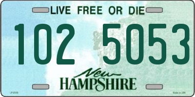 NH license plate 1025053