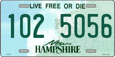 NH license plate 1025056