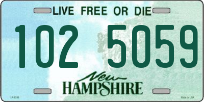 NH license plate 1025059