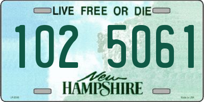 NH license plate 1025061