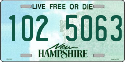 NH license plate 1025063