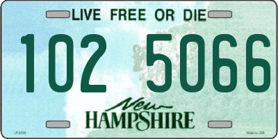 NH license plate 1025066