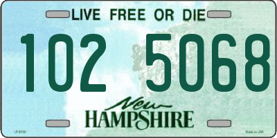 NH license plate 1025068