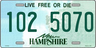 NH license plate 1025070