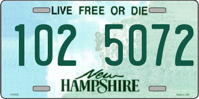 NH license plate 1025072