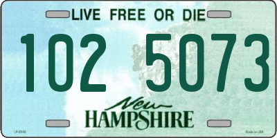 NH license plate 1025073