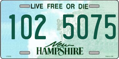 NH license plate 1025075