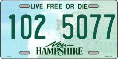 NH license plate 1025077