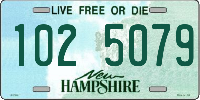 NH license plate 1025079