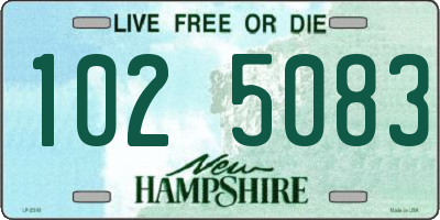 NH license plate 1025083