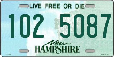 NH license plate 1025087