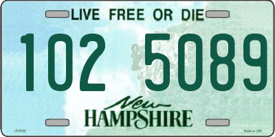 NH license plate 1025089