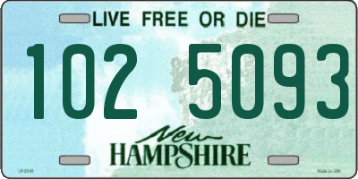 NH license plate 1025093
