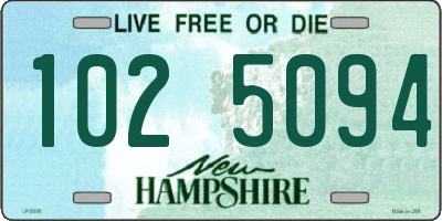 NH license plate 1025094
