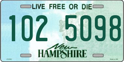 NH license plate 1025098