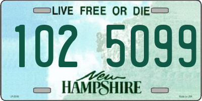 NH license plate 1025099