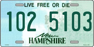 NH license plate 1025103