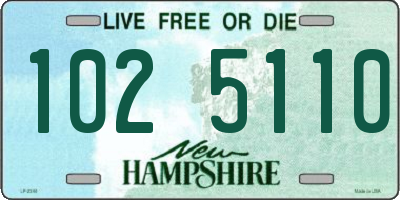 NH license plate 1025110