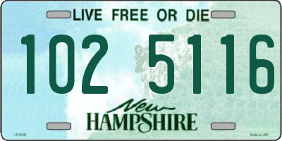 NH license plate 1025116
